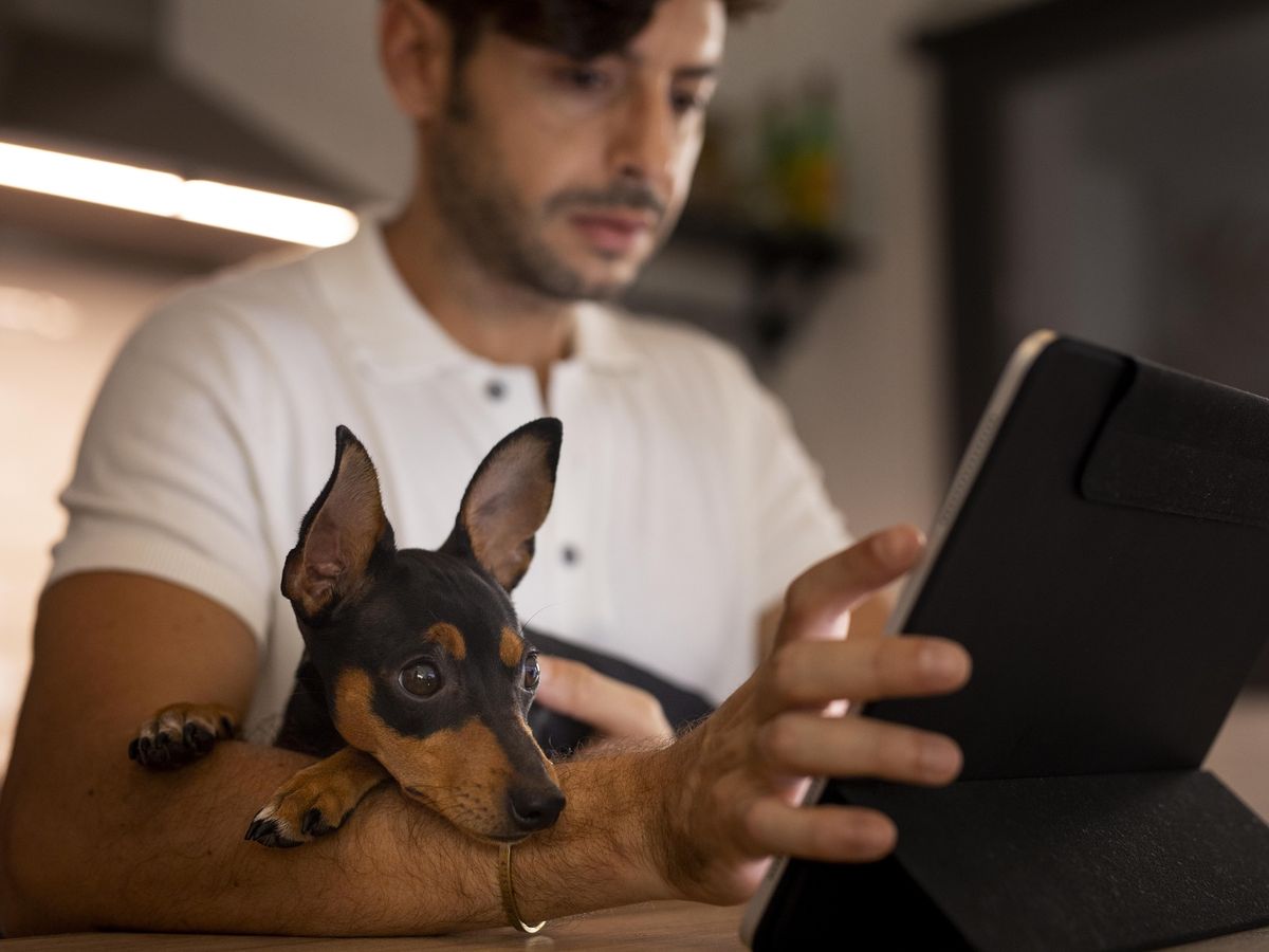 Jak technologie wpływają na rozwój nowoczesnych sklepów zoologicznych i opiekę nad zwierzętami